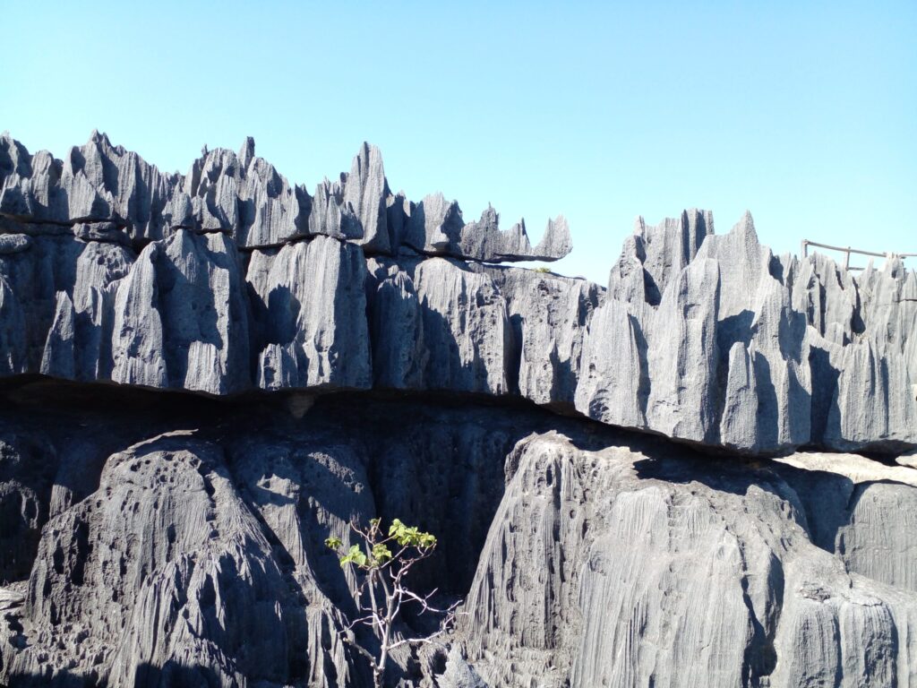 Tsingy de Bemaraha: A Journey to the Heart of the Stone Cathedrals