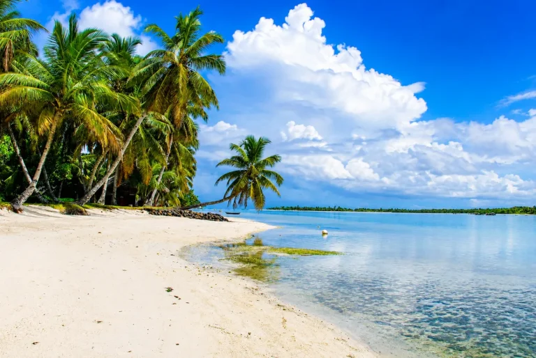 Madagascar du Nord – Des forêts d&rsquo;ambre au paradis insulaire